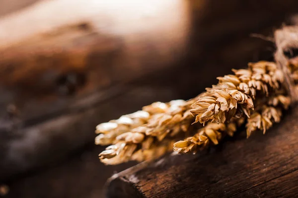 木のテーブルの上のクルミと小麦のボウル — ストック写真