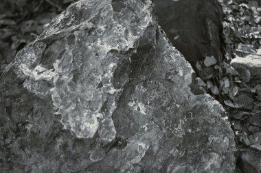 Siyah ve beyaz - Rock