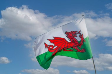 Welsh flag  the Fag  of  Wales  red  dragon  St Davids  day