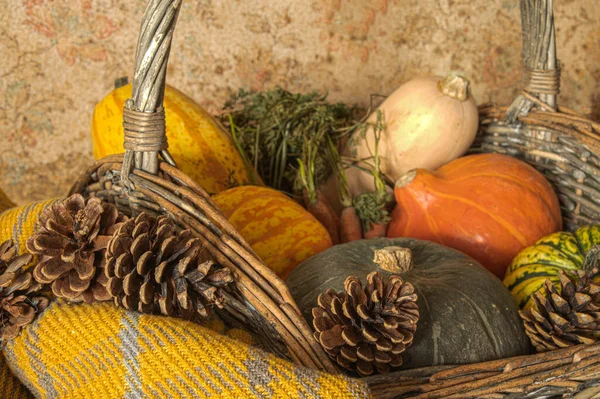 Rustic Pumpkin Basking Wooden Table Thanks Giving Fall Halloween — Stock Photo, Image