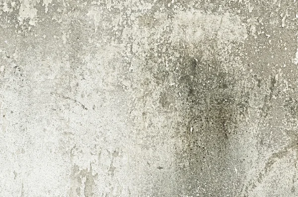 Beton Duvar