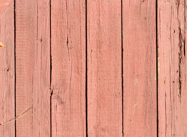 Wooden texture — Stock Photo, Image