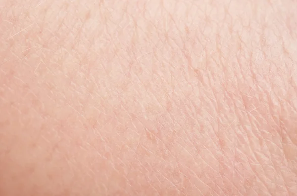 Человеческая кожа Стоковое Фото