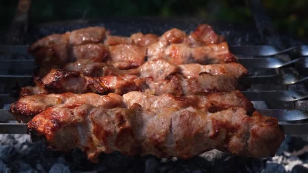 Shish kebab close-up of meat, grilled meat, shish kebab from grilled meat with smoke, the process of roasting on the grill, shish kebab on skewers — Stock Video
