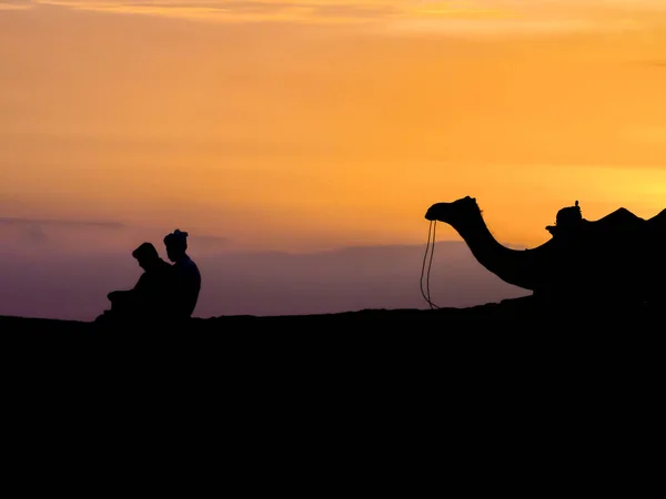 Impresionante Silueta Dromedario Dueño Desierto Thar Atardecer Rajastán India —  Fotos de Stock