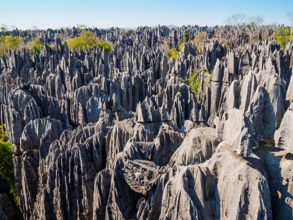 Karst kireçtaşı oluşumlarının panoramik görüntüsü Tsingy de Bemaraha Ulusal Parkı, Madagaskar