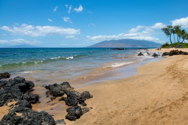 Hawaii plajı. Sakin deniz sahili arka planı. Kumlu tropik yaz plajı. Okyanus suyu. Doğal deniz manzarası.
