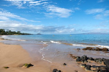 Yaz tatili, tropik bir sahil ve mavi denizin tatil geçmişi. Hawaii plajı.