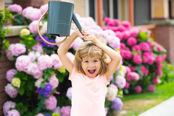 Flores engraçadas da criança molhando. A criança no jardim de jarda regou flores de uma lata de rega no verão. Kid jardineiro tem diversão gosta de cuidar de plantas, grooming flores. — Fotografia de Stock