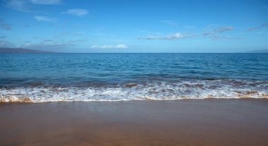 Tropik plaj geçmişi. Sakin turkuaz dalgalı kumsal. Maldivler, mükemmel manzara, kopyalama alanı.
