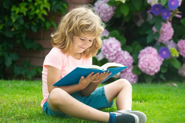A kölyök könyvet olvas. Gyermekiskola és szabadtéri oktatás. Természet és park. Korai tanulás. Nyári szabadtéri. Tanulási koncepció. — Stock Fotó