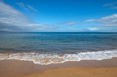 Tropik bir plajda yaz tatili. Kum ve deniz suyuyla dolu cennet kumsalı. Okyanus sahili arka planı.