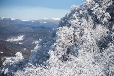Kış, karların altında donmuş ağaçlarla. Büyülü kış ormanı. Güzel gökyüzü olan doğal manzara. Soğuk ve karlı kış dağları.