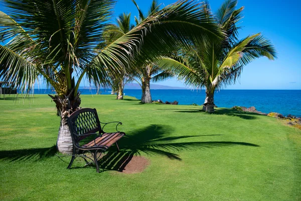Palmen exotisch patroon. Palms eiland paradijs behang. Zomer tropisch eiland, vakantie patroon. — Stockfoto