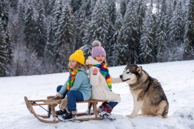 Kızaktaki köpekli çocuklar. Çocuklar, dışarıda karda oynuyorlar. Kış, tatil ve Noel zamanı.