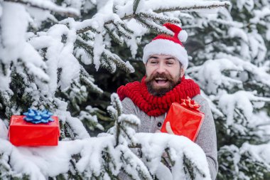 Noel 'de sakallı mutlu bir adam hediye kutusunu tutar. Yeni yılda Noel Baba şapkalı sakallı adam. Hipster Noel Baba, karlı kış ormanlarındaki Noel ağacında. Boks günü, parti kutlaması.
