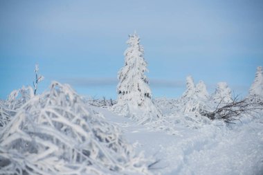 Kar ve buzun kış arka planında dekorasyonun için boş yer var. Kış sahnesi.