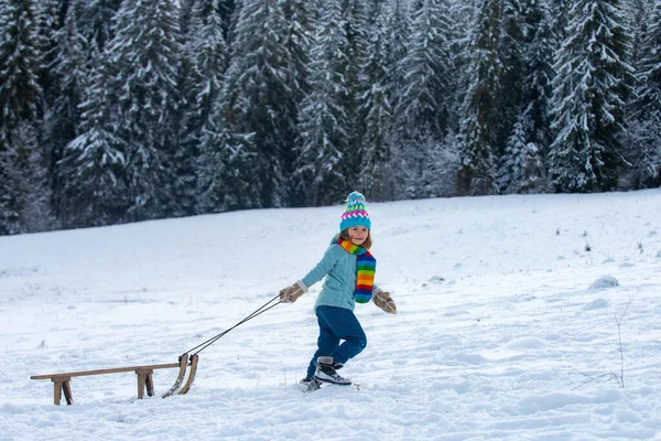 Garçon appréciant une balade en traîneau. Enfant en traîneau. L'enfant joue dehors dans la neige. Hiver, vacances et Noël. — Photo