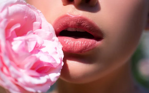 Sensuele open mond. Lippen met lippenstift close-up. Mooie vrouw lippen met roos. — Stockfoto