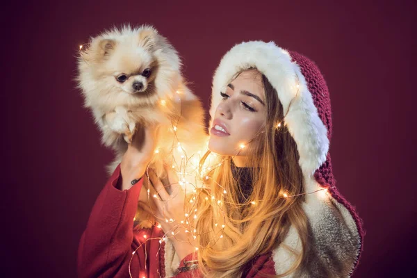 Σέξι κοπέλα με pomeranian spitch dog στα Χριστούγεννα. Χριστουγεννιάτικο πάρτι και χειμερινές διακοπές. Νέο έτος του σκύλου, θαύμα και θαύμα δώρο. γυναίκα με κοστούμι Άγιος Βασίλης με κατοικίδιο ζώο — Φωτογραφία Αρχείου