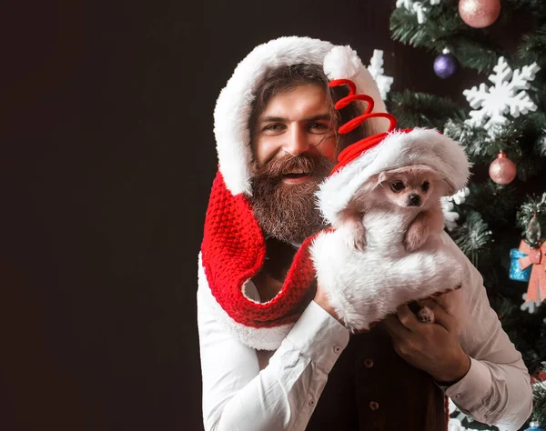 Weihnachtsmann mit Hund. Party und Weihnachten mit Haustieren. Pommersche Spitze. — Stockfoto