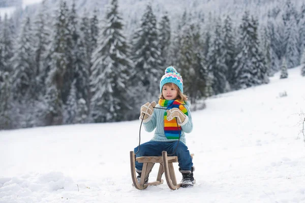 Boy sledding, enjoying sleigh ride. Child sitting on the sleigh. Children play with snow. Winter vacation concept. Wonderful Christmas scene. — Stock Photo, Image