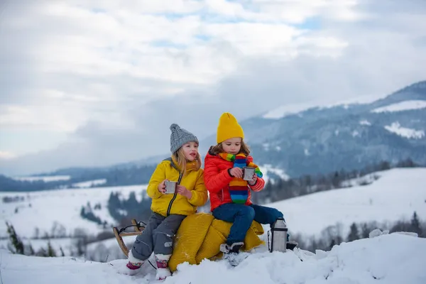 Děti si užívají zimu, hrají si se saněmi v zimním lese. Děti si hrají se sněhem. Koncept zimní dovolené. — Stock fotografie