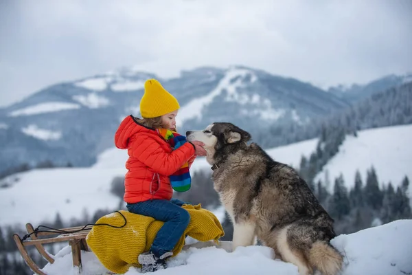 Cute boy enjoying a sleigh ride with husky dog. Child sledding, riding a sledge play outdoors in snow in winter park. Outdoor winter active fun for family vacation. — Stock Photo, Image