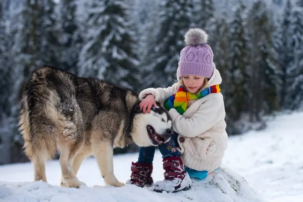 Flicka ha kul med hund på vintern. Söta barn leker med husdjur utomhus. Vinteraktiviteter för barn. — Stockfoto