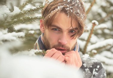 Yakışıklı sakallı genç bir adam ya da kışın açık havada, ormanda, soğukta seksi bir adam. Kapalı yüz portresi.