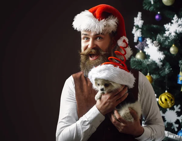 Legrační Santa Claus muž se zvířecím psem. Párty a Vánoce s domácími mazlíčky. Pomeranian Spitz. — Stock fotografie