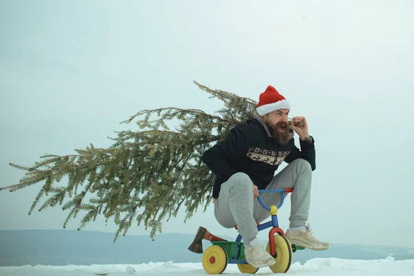 Hipster che porta l'albero di Natale sulla neve bianca. Eccitato pazzo divertente ciclista nella celebrazione di Babbo Natale cappello e Capodanno. Uomo in bicicletta triciclo sul paesaggio innevato — Foto Stock