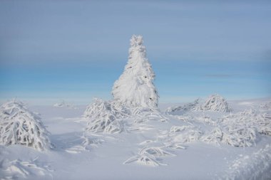 Kar, kış manzarasında dağlardaki ağaçları kapladı. Kış ormanı geçmişi. Tasarım için kış doğası.