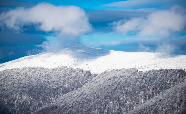 Winterlandschap met bomen bedekt met sneeuwvorst. — Stockfoto