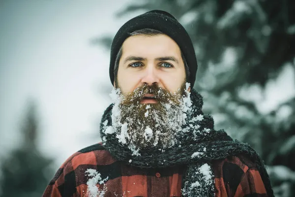 Człowiek ze śnieżną brodą w zimowym lesie ze śniegiem. Boże Narodzenie hipster w kapeluszu w zimie drewna — Zdjęcie stockowe