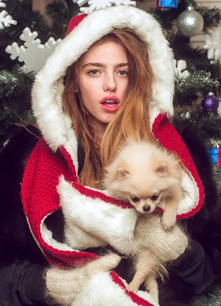 Yeni yılda köpek, kız kucağında köpek yavrusu. Güzel yüzlü ve evcil hayvanı olan bir Noel kadını. Noel Baba kız ağaçta evcil hayvanla — Stok fotoğraf