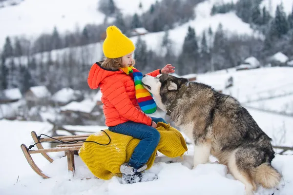 冬天,孩子们和哈士奇狗在雪中玩耍.宠物的爱。户外孩子们过圣诞假期很开心.孩子们抱着柔嫩的哈士奇狗. — 图库照片