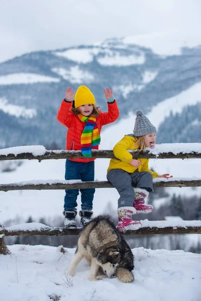 Holčička a kluk si užívají zimu. Děti si venku hrají ve sněhu. Venkovní zábava pro rodinnou vánoční dovolenou. Šťastné dětství. — Stock fotografie