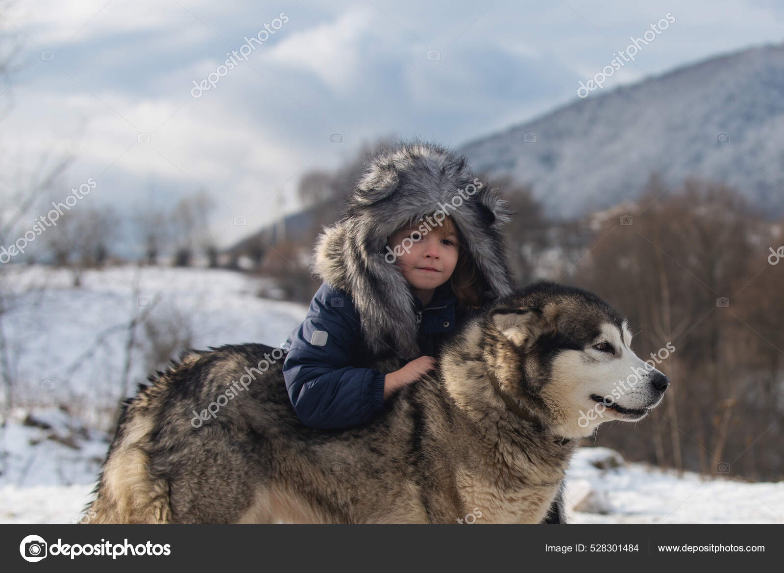 Child embraced husky Boy in winter clothes with Siberian