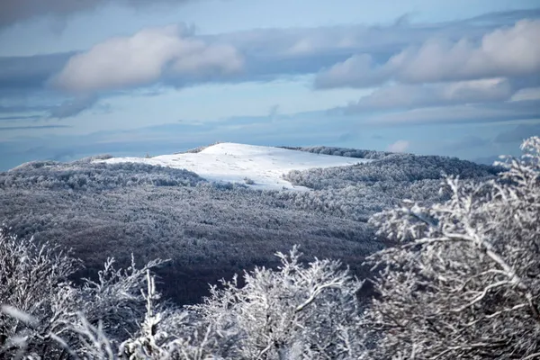 Snötäckta träd i fjällen på vinterlandskapet. Underbar julscen. Vinterskog bakgrund. — Stockfoto