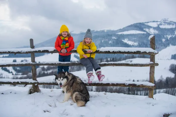 Vtipné malé děti a husky pes v zimě venku. Usmívající se děti přátelé v mrazivém sněhovém dni venku. Dva pohlední kluci dívka odpočívá společně v parku se sněhem pozadí. — Stock fotografie