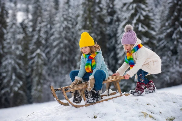 Милая девочка и мальчик наслаждаются катанием на санях. Дети катаются на санках по снегу в зимнем парке. Природа снежный пейзаж. Дети играют в зимнем лесу. — стоковое фото