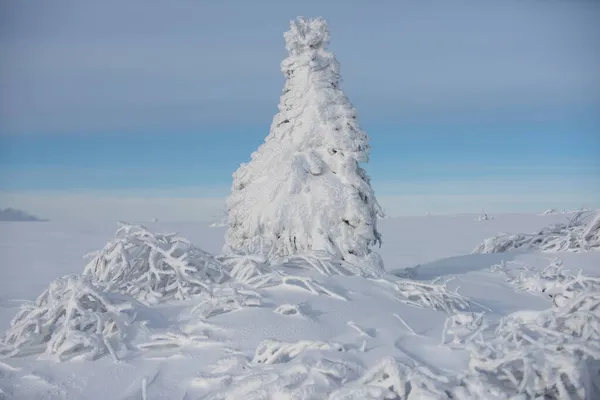 Zimowy świąteczny krajobraz ze śniegiem. Noworoczna tapeta. Zima z pokrytymi drzewami mrozu w zaspy śnieżne. Magiczny zimowy las. Naturalny krajobraz z pięknym niebem. — Zdjęcie stockowe