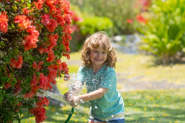 Little gardener child helping to watering flowers with garden hose in summer garden. Seasonal yard work. — Stock Photo, Image