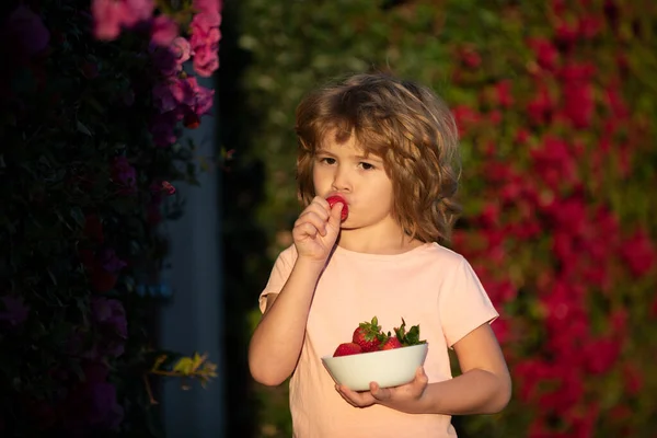 小さな男の子がイチゴを選んで食べています。かわいい陽気な子供はイチゴを食べる。その少年は健康的な食べ物を食べている。幸せな子供時代のコンセプト. — ストック写真