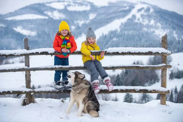 Roztomilé děti chlapec a dívka hraje na zimní procházku v přírodě. Portrét šťastných malých dětí v zimním oblečení pletená čepice, šála a bunda. — Stock fotografie