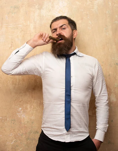 Retrato de homem barbudo bonito fumar charuto. — Fotografia de Stock