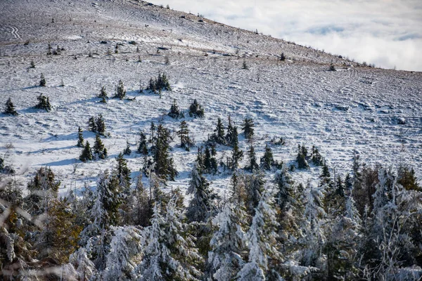 Paisagem de inverno com árvores cobertas com gelo de neve. Cena de inverno. — Fotografia de Stock
