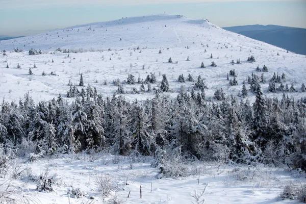 Manhã gelada na floresta. A neve cobriu árvores nas montanhas na paisagem de inverno. Inverno floresta fundo. — Fotografia de Stock
