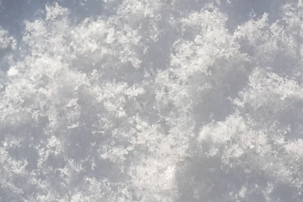 Fond de neige. Texture de la neige, vue de dessus de la neige. Texture pour le design. Texture blanche enneigée. — Photo